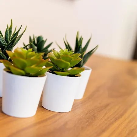 דירה Re Sole אלסיו